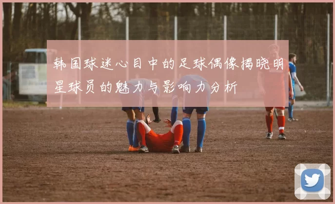 韩国球迷心目中的足球偶像揭晓明星球员的魅力与影响力分析