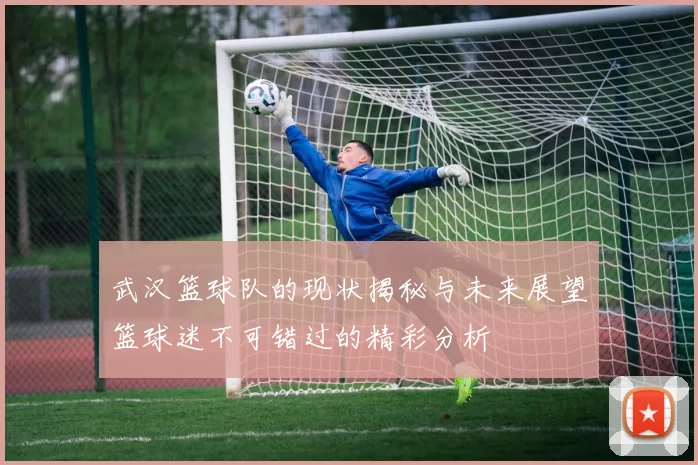 武汉篮球队的现状揭秘与未来展望篮球迷不可错过的精彩分析