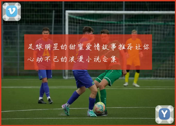 足球明星的甜蜜爱情故事推荐让你心动不已的浪漫小说合集