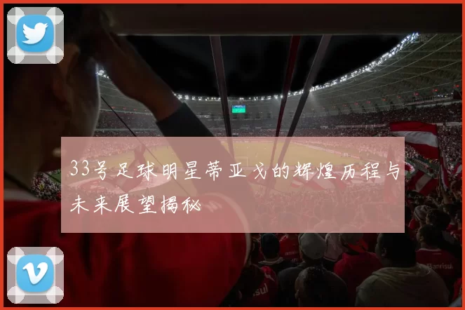 33号足球明星蒂亚戈的辉煌历程与未来展望揭秘