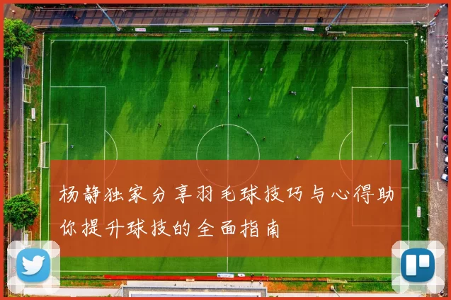 杨静独家分享羽毛球技巧与心得助你提升球技的全面指南
