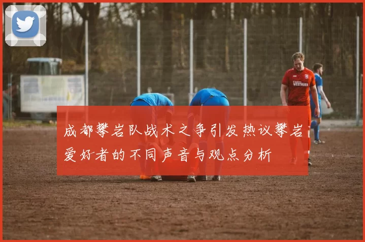 成都攀岩队战术之争引发热议攀岩爱好者的不同声音与观点分析