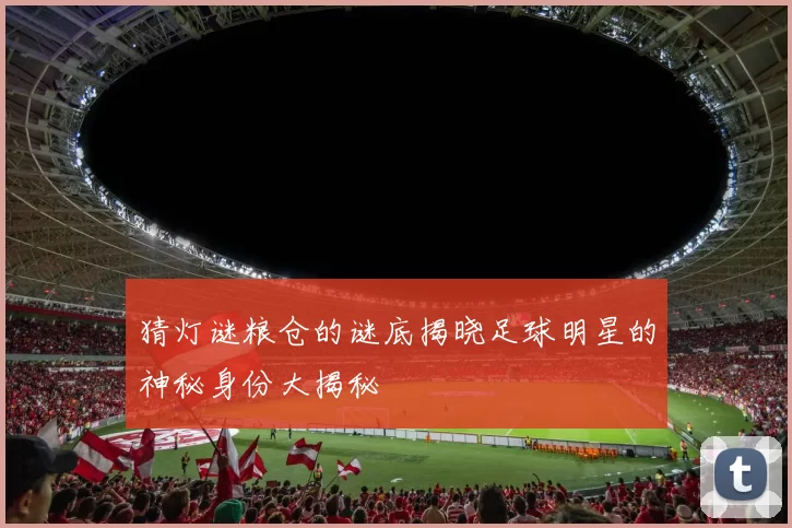 猜灯谜粮仓的谜底揭晓足球明星的神秘身份大揭秘