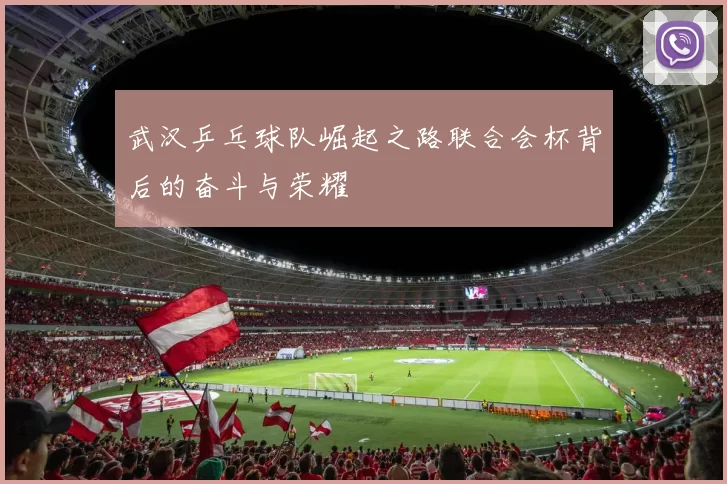 武汉乒乓球队崛起之路联合会杯背后的奋斗与荣耀