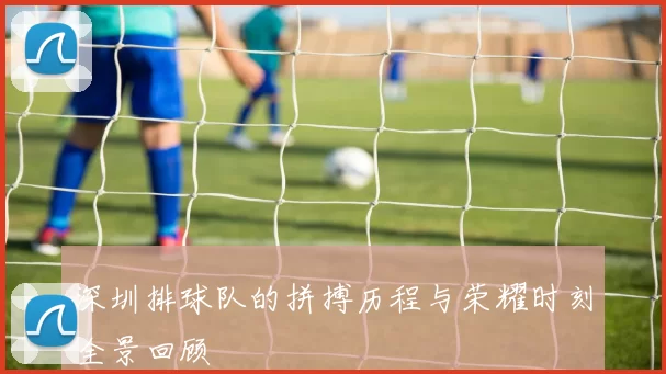 深圳排球队的拼搏历程与荣耀时刻全景回顾