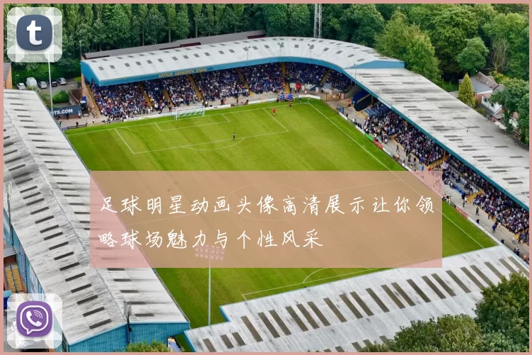 足球明星动画头像高清展示让你领略球场魅力与个性风采