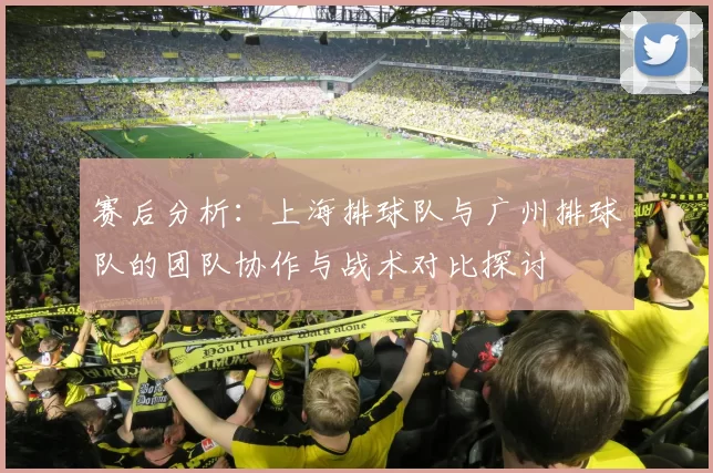 赛后分析：上海排球队与广州排球队的团队协作与战术对比探讨