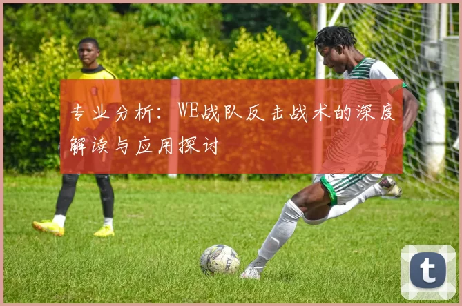 专业分析：WE战队反击战术的深度解读与应用探讨