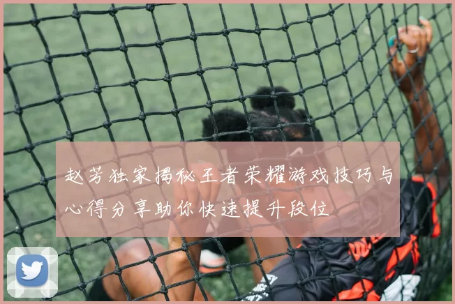 赵芳独家揭秘王者荣耀游戏技巧与心得分享助你快速提升段位