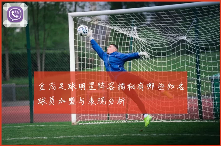 金茂足球明星阵容揭秘有哪些知名球员加盟与表现分析