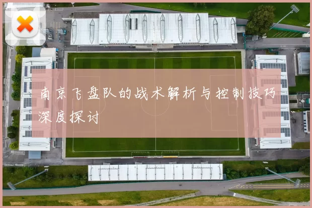 南京飞盘队的战术解析与控制技巧深度探讨