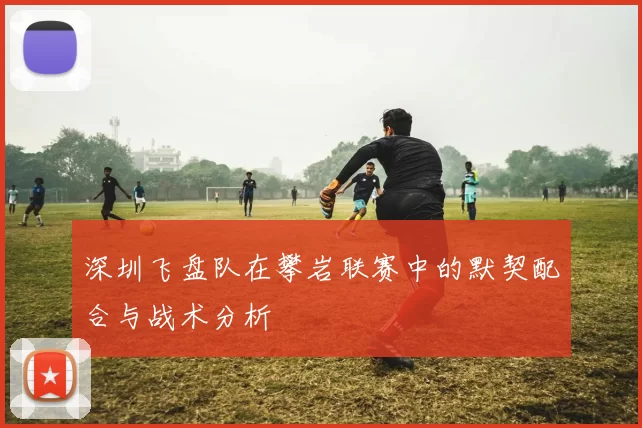 深圳飞盘队在攀岩联赛中的默契配合与战术分析