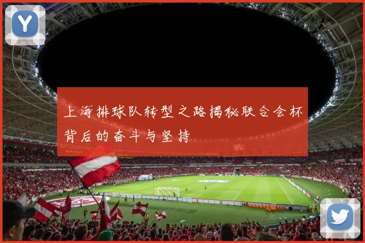 上海排球队转型之路揭秘联合会杯背后的奋斗与坚持