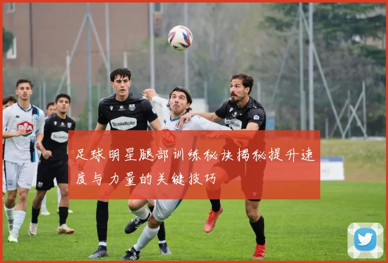 足球明星腿部训练秘诀揭秘提升速度与力量的关键技巧