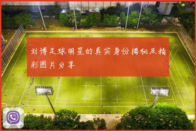 刘博足球明星的真实身份揭秘及精彩图片分享