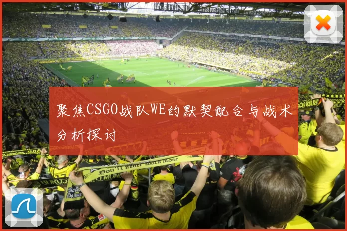 聚焦CSGO战队WE的默契配合与战术分析探讨