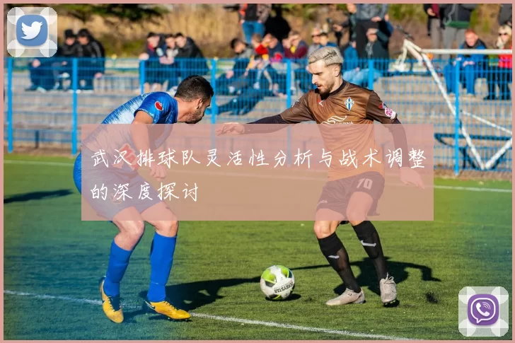 武汉排球队灵活性分析与战术调整的深度探讨