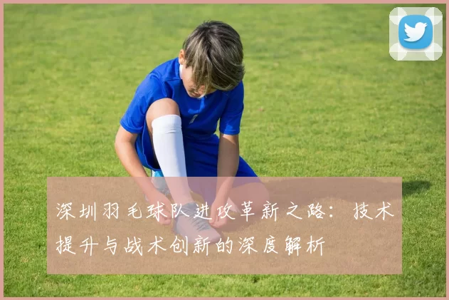 深圳羽毛球队进攻革新之路：技术提升与战术创新的深度解析