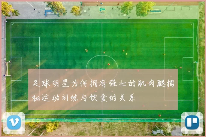 足球明星为何拥有强壮的肌肉腿揭秘运动训练与饮食的关系