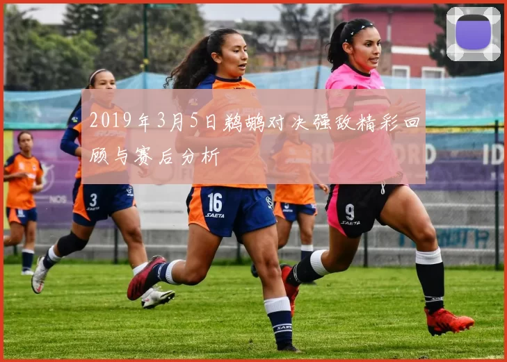 2019年3月5日鹈鹕对决强敌精彩回顾与赛后分析