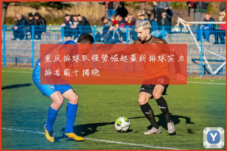 重庆排球队强势崛起最新排球实力排名前十揭晓