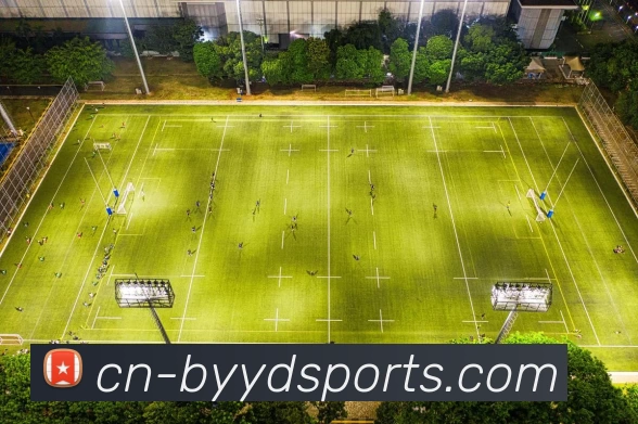 必一运动平台生态图